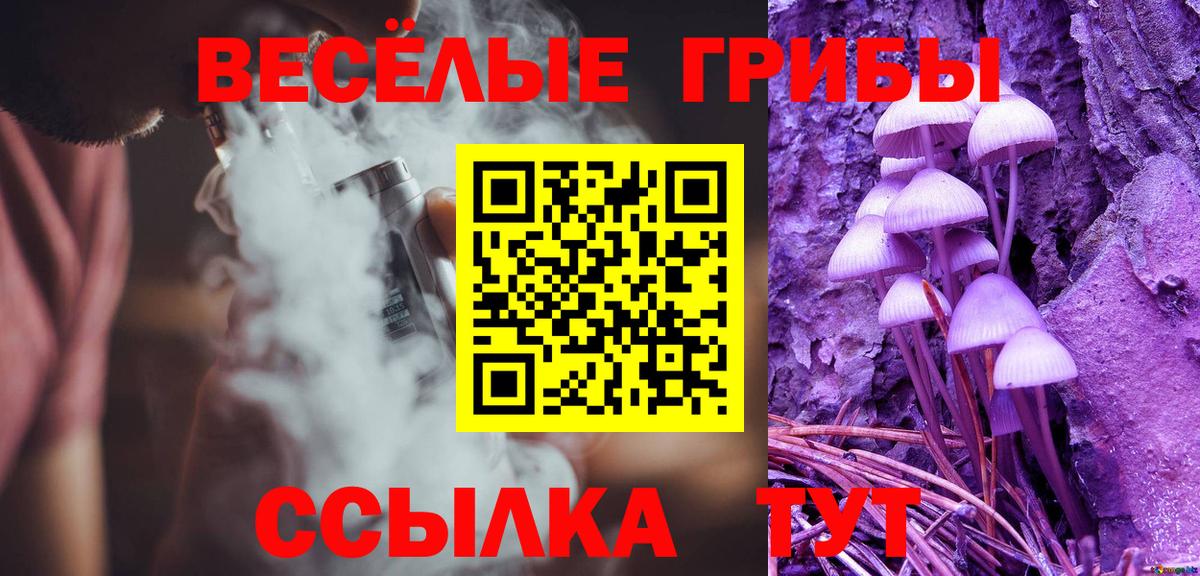 Донской  Галлюциногенные грибы MAGIC MUSHROOMS  Вход с VPN 