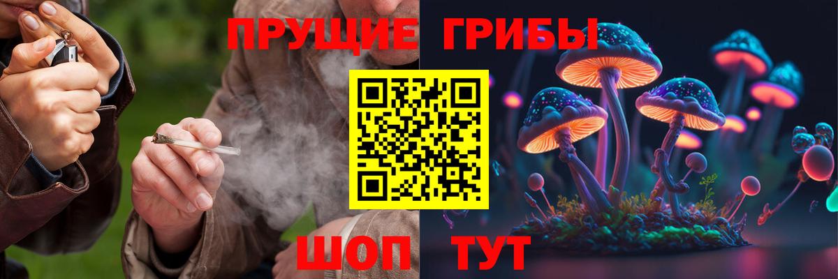 Псилоцибиновые грибы ЛСД Донской